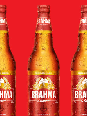 三瓶冰涼的Brahma啤酒瓶，紅色背景上有冷凝水珠。 — 果汁世界 4K 壁紙