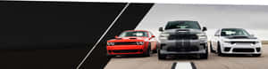 三輛 Dodge 肌肉車在賽道上一字排開。 — 道奇挑戰者 壁紙