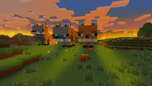 夕陽下長滿草的田野中，三隻Minecraft狐狸與方塊樹和色彩繽紛的天空。 — 我的世界 壁紙