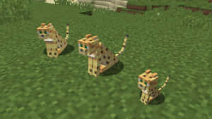 三隻Minecraft像素藝術風格的獵豹在綠色草地上。 — 我的世界 壁紙