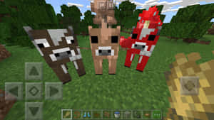 三隻不同顏色圖案的Minecraft牛站在草地上。 — 乳牛動圖 壁紙