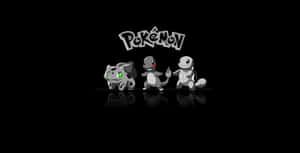 三隻寶可夢初選寶可夢妙蛙種子、小火龍和傑尼龜在反光表面上排成一列站在寶可夢標誌下方。 — 可愛卡通 壁紙