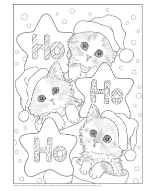 三隻戴聖誕帽的小貓，配上「Ho Ho Ho」星星和雪花，適合節日填色。 — 貓咪藝術 壁紙