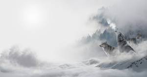 三隻狼在白雪覆蓋的山頂上，雲海和霧氣繚繞的森林之上。 — 酷炫狼 壁紙