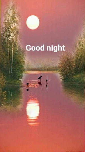夜晚月光下水中三隻蒼鷺 — 晚安 壁紙