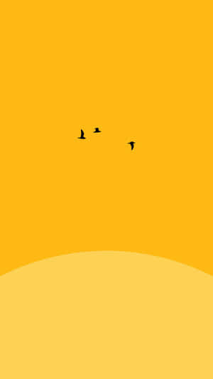 三隻鳥在彎曲地平線上的黃色天空前飛翔。 — 美學黃色 壁紙