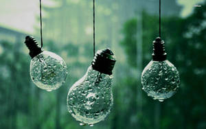 雨林場景中三顆濕漉漉的懸掛燈泡。