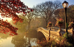 秋日公園中水面上的石橋，紅葉和復古燈 — 塔橋 壁紙