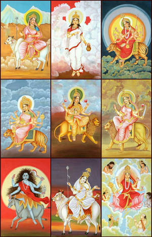 九位印度教女神以彩色插圖描繪，每位騎著不同的動物。 — Maa Durga 壁紙