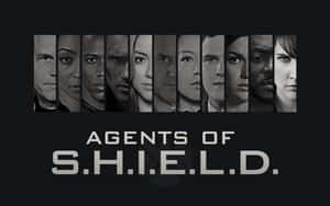 九張黑白嚴肅面孔，下方有 Agents of S.H.I.E.L.D. 標題。 — 漫威復仇者聯盟 壁紙
