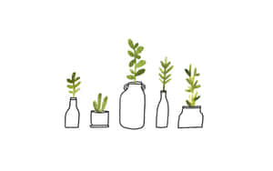 五個小盆栽植物，放在各種容器中，帶有綠色葉子，白色背景。 — 簡約 壁紙