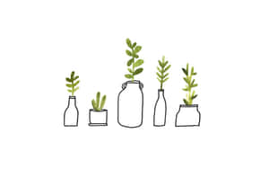 五個小植物放在各種容器中，帶有綠色葉子，背景為白色。 — 花園 壁紙