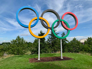 藍天下草地上柱子上的五個奧運五環。 — 奧運 壁紙