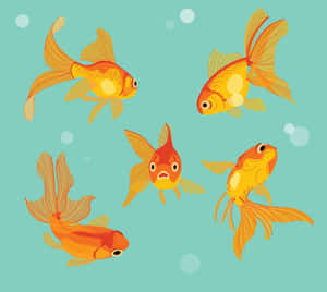 五條卡通金魚在藍綠色水中游動，帶有氣泡 — 金魚 壁紙