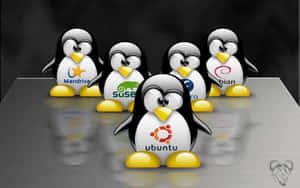 五隻Linux吉祥物企鵝在反光表面上帶有標誌。 — 企鵝 GIF 壁紙