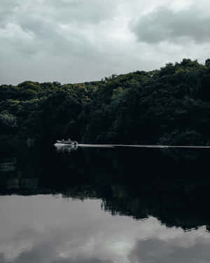 亞馬遜背景 — 亞馬遜 壁紙