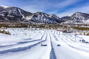 人們在陽光明媚的日子裡從白雪覆蓋的山坡上滑雪橇而下。 — 科羅拉多 壁紙