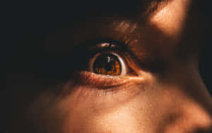人類眼睛的特寫，金色光線在皮膚上投下陰影。 — 眼睛 壁紙