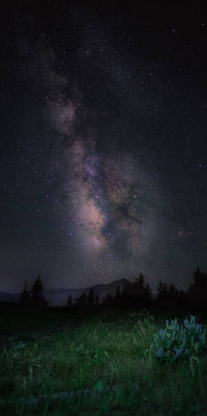夜晚山脈和草地上的銀河系