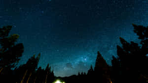 松樹剪影上方的銀河星空 — 魔法森林 壁紙