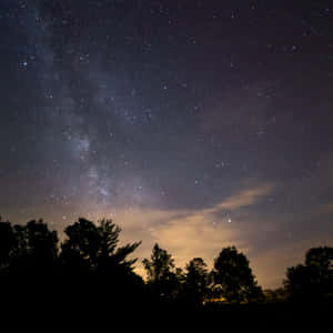 在繁星點點的夜空下，銀河系位於黑暗樹木剪影之上。 — 黑暗自然 壁紙