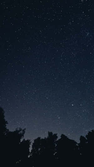 底部有樹木剪影的星空夜景。 — 月夜星空 壁紙