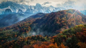 秋季森林山丘，背景是白雪覆蓋的山脈，天空多雲。 — 山脈 壁紙