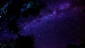 夜晚帶有樹木剪影的紫色和藍色星空 — 宇宙 壁紙