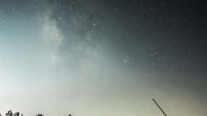 銀河系在繁星夜空下，在黑暗樹影上方發光。 — 暮光 壁紙