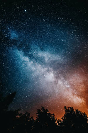 銀河系在繁星夜空下，在樹木剪影上方閃耀 — 星星 壁紙