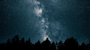 夜晚，銀河系在松樹林上方閃耀。 — 美麗的夜晚 壁紙