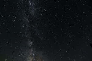 銀河系在繁星點點的夜空中閃耀，襯托著樹木剪影 — 太空 壁紙
