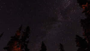 星空之夜，銀河在溫暖光芒的松樹剪影上方。 — 暮光 壁紙
