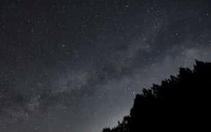 星空夜空，銀河在樹木剪影之上 — 夜空 壁紙