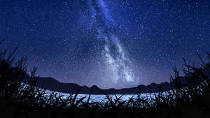 夜晚山湖上空的銀河系，帶有草剪影 — 夜空 壁紙