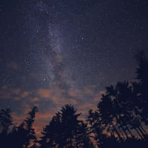 在星空下、銀河和發光雲彩中的剪影松樹。 — 夜空 壁紙