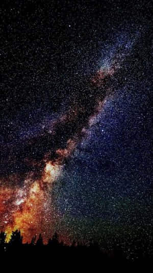 銀河系在夜晚的森林剪影上方閃爍。 — 星星 壁紙