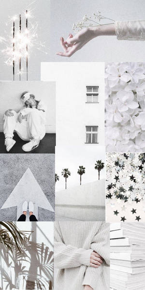 以手、花朵、書籍和棕櫚樹為特色的白色主題拼貼畫。 — 美學拼貼 壁紙