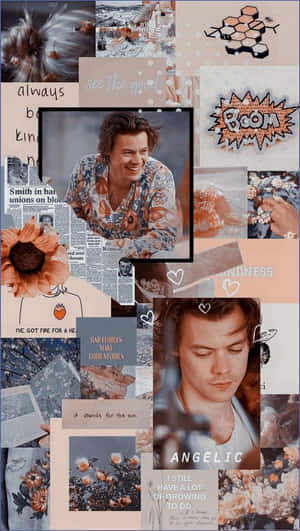 帶有 Harry Styles 照片、花朵和勵志語錄的柔和色調拼貼。 — 哈利波特 美學 壁紙