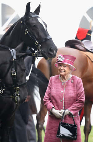 伊莉莎白二世女王穿著粉紅色外套和帽子站在一匹黑色馬旁邊。 — 高解析度馬匹 壁紙