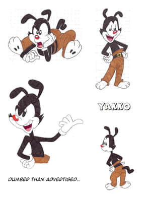 Yakko Warner卡通角色以四個不同姿勢呈現，附文字標籤。 — 狂歡三寶 壁紙