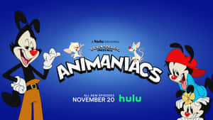 《Animaniacs》卡通角色與節目名稱及 Hulu 發行資訊，背景為藍色。 — 狂歡三寶 壁紙