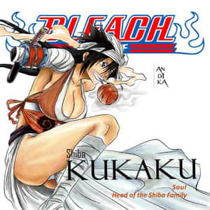 來自《Bleach》的動畫戰士志波空鶴，持劍並伴隨煙霧的戰鬥姿勢。 — 鹿丸 壁紙