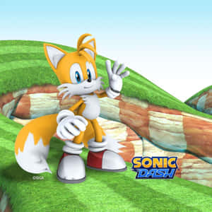 《Sonic Dash》遊戲中在草坡上揮手的狐狸角色塔爾斯。 — 音速小子 壁紙