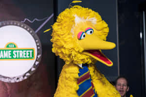 Big Bird 戴著條紋領帶站在芝麻街標誌前。 — 鳥類飛翔 壁紙