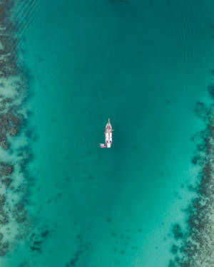 一個人在槳板上漂浮在清澈的碧綠海水上，靠近珊瑚礁。 — 海洋桌面 壁紙