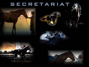 傳奇賽馬Secretariat在行動中及與馴馬師一起以戲劇性燈光展示。 — 高解析度馬匹 壁紙