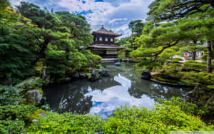 傳統日本亭閣在寧靜的花園中，有池塘和綠植。 — 日式審美桌面 壁紙