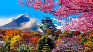 日本城堡被櫻花和秋樹環繞，背景為富士山。