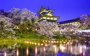 夜晚被照亮的日本城堡，周圍環繞櫻花，水面倒影。 — 日式審美桌面 壁紙